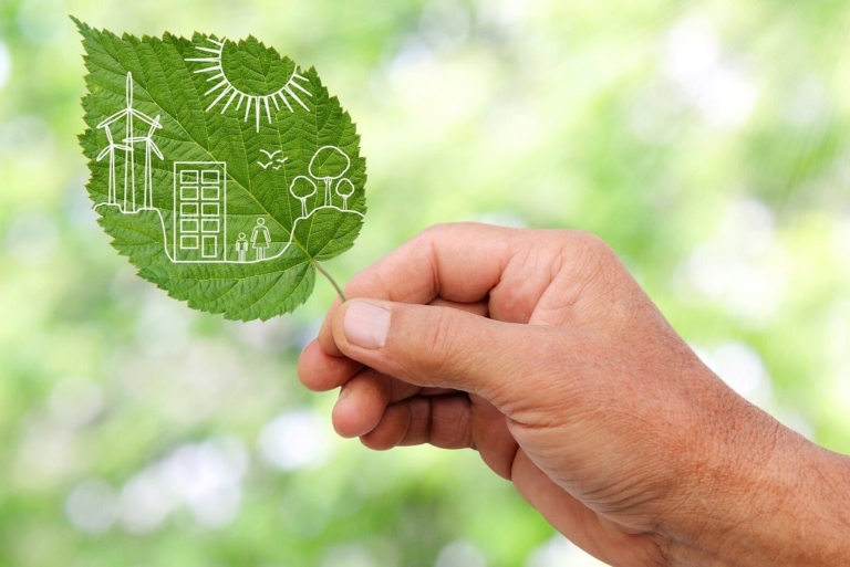 Celebration of Environmental Week